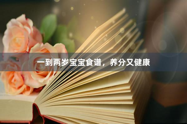 一到两岁宝宝食谱，养分又健康