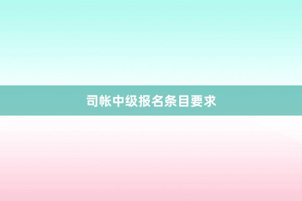 司帐中级报名条目要求